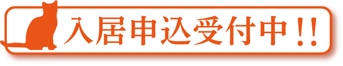 申し込み問い合わせ先