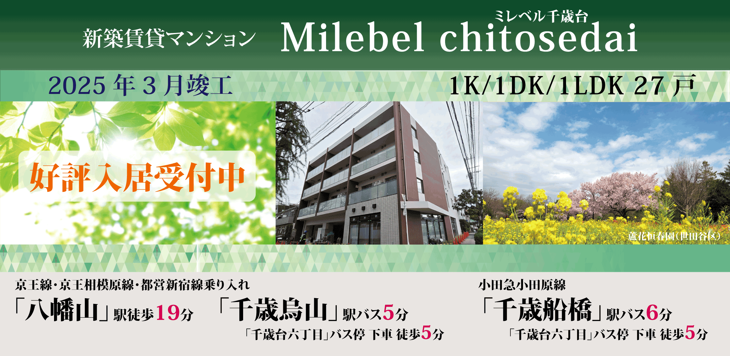 Milebel chitosedai